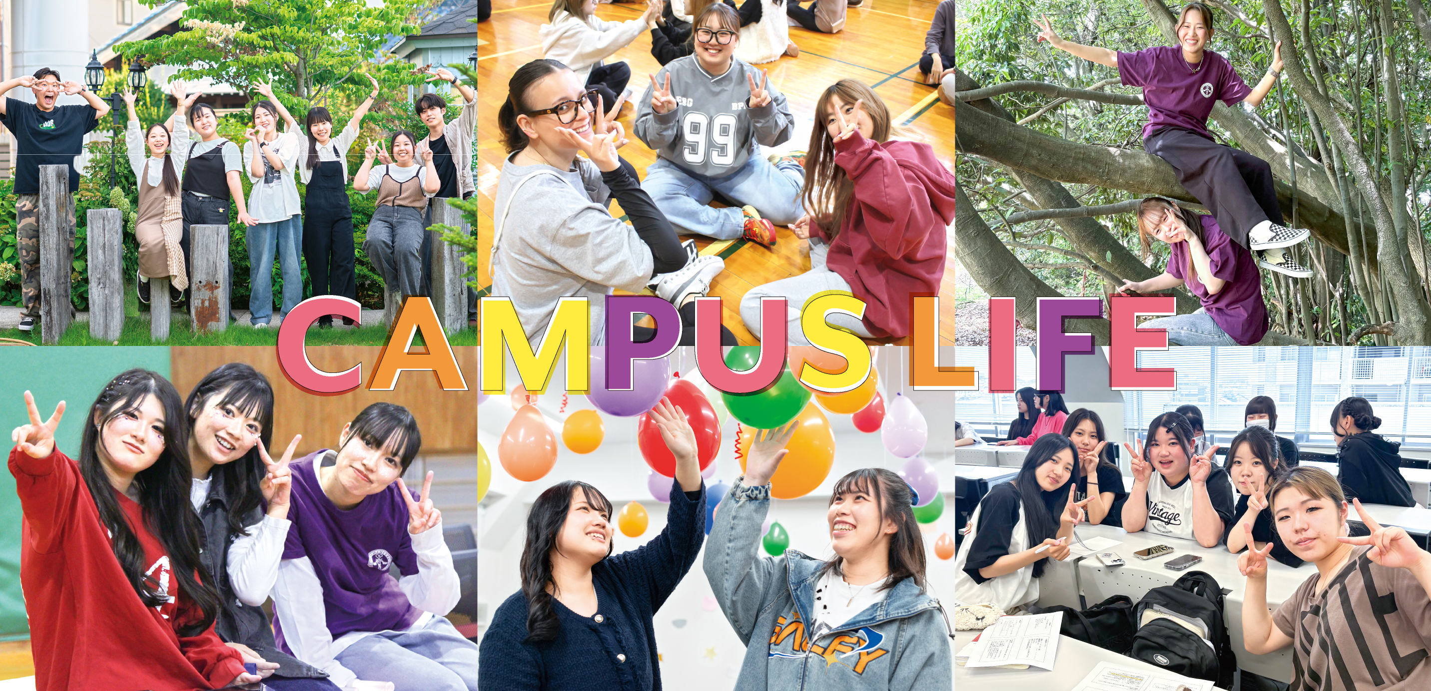 学科紹介
